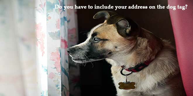 Do-you-have-to-include-your-address-on-the-dog-tag