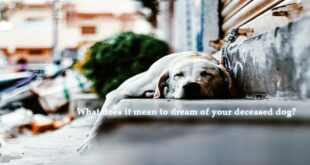What-does-it-mean-to-dream-of-your-deceased-dog