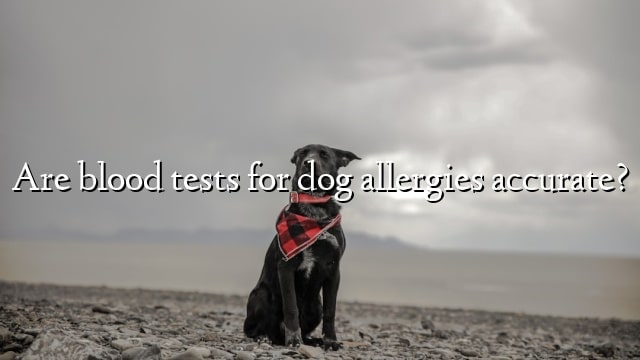 Are blood tests for dog allergies accurate?