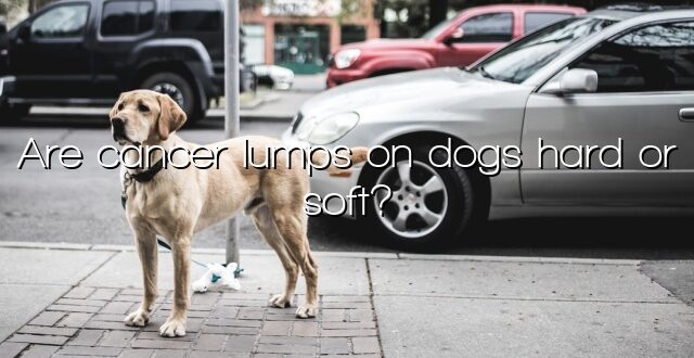 Are cancer lumps on dogs hard or soft?