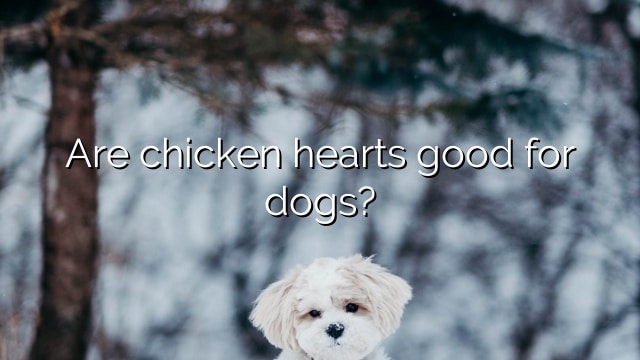 Are chicken hearts good for dogs?