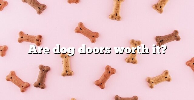 Are dog doors worth it?