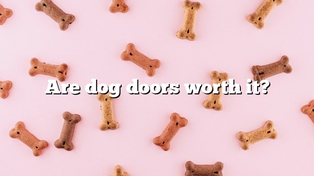 Are dog doors worth it?