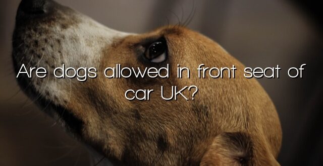 Are dogs allowed in front seat of car UK?