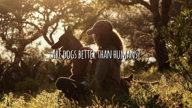 Are dogs better than humans?
