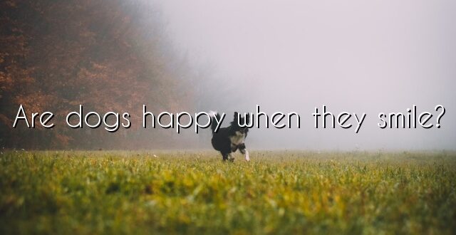 Are dogs happy when they smile?