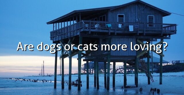 Are dogs or cats more loving?