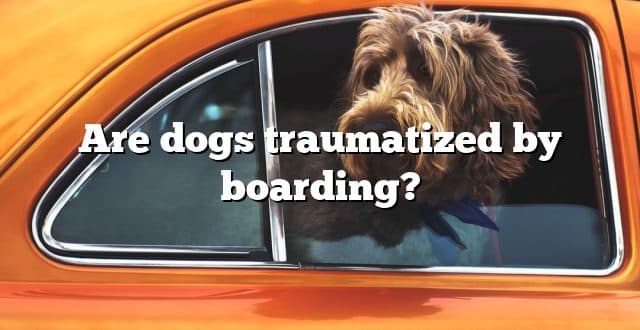 Are dogs traumatized by boarding?