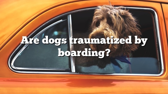 Are dogs traumatized by boarding?