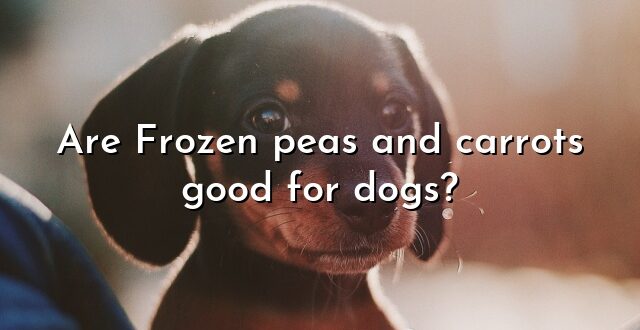 Are Frozen peas and carrots good for dogs?