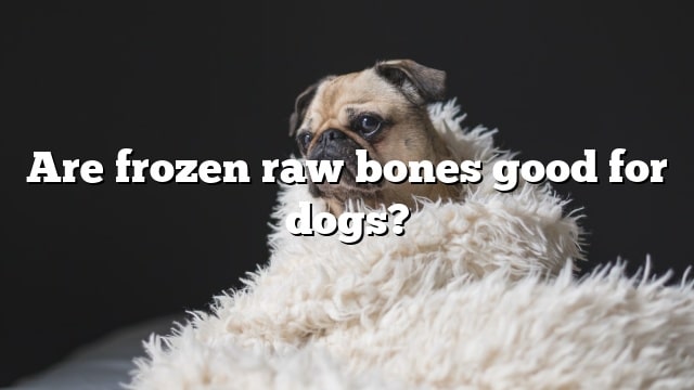 Are frozen raw bones good for dogs?