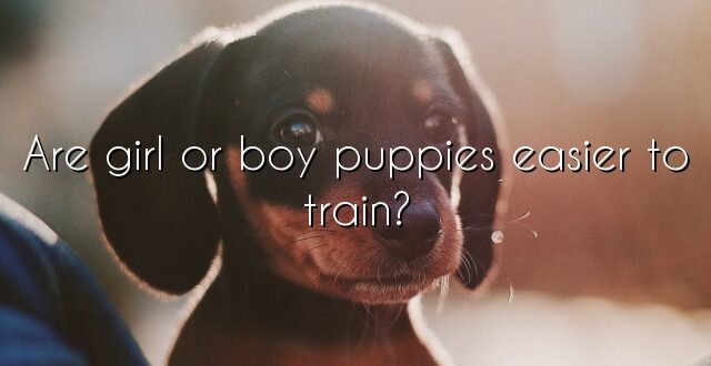 Are girl or boy puppies easier to train?