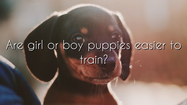 Are girl or boy puppies easier to train?