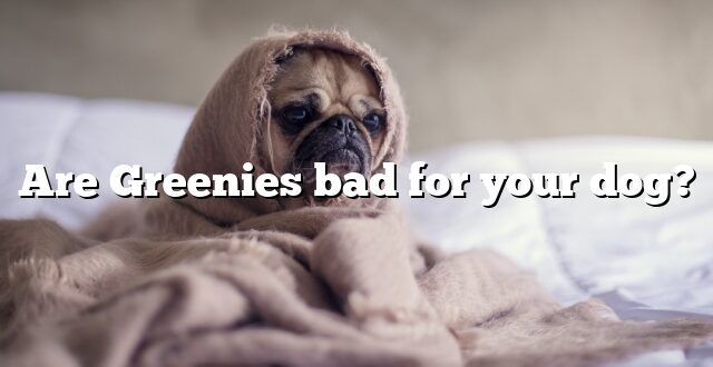 Are Greenies bad for your dog?