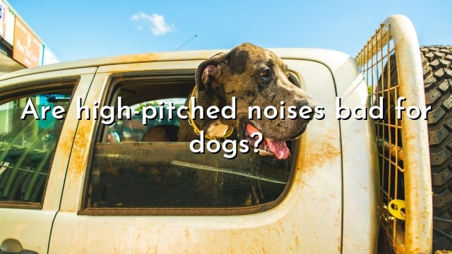 Are high-pitched noises bad for dogs?