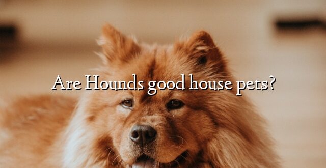 Are Hounds good house pets?