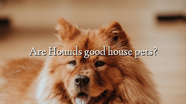 Are Hounds good house pets?