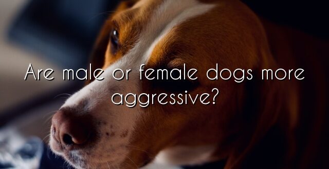 Are male or female dogs more aggressive?