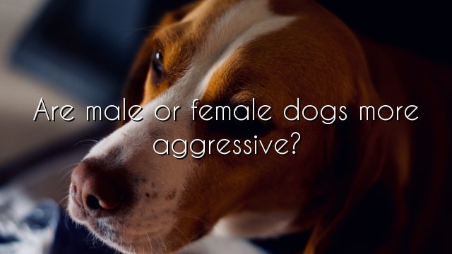Are male or female dogs more aggressive?