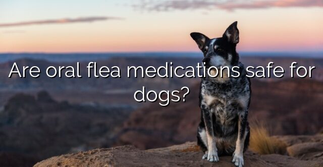 Are oral flea medications safe for dogs?