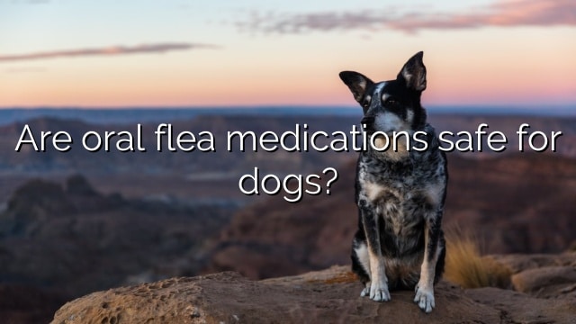 Are oral flea medications safe for dogs?