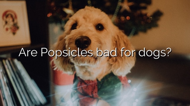 Are Popsicles bad for dogs?