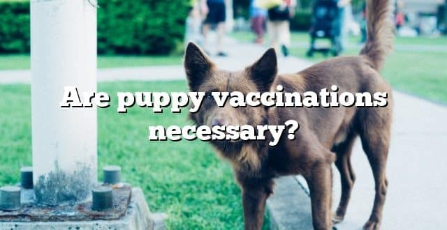 Are puppy vaccinations necessary?