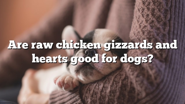 Are raw chicken gizzards and hearts good for dogs?