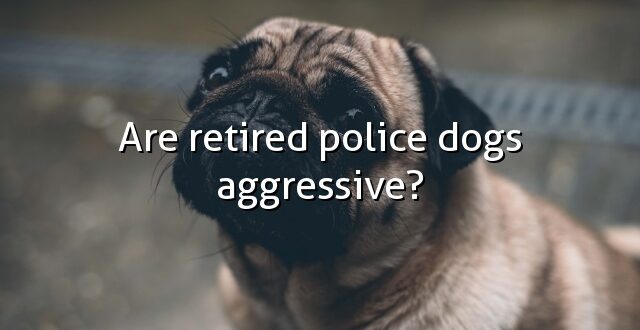 Are retired police dogs aggressive?