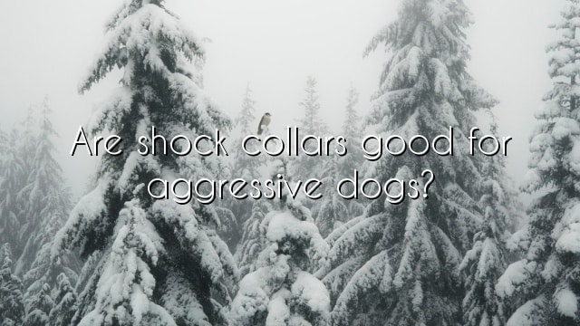 Are shock collars good for aggressive dogs?