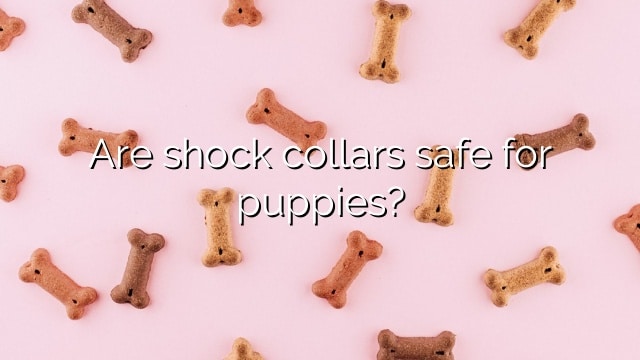 Are shock collars safe for puppies?