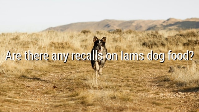 Are there any recalls on Iams dog food?