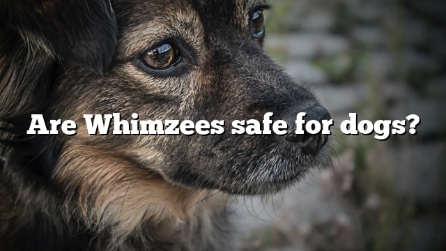 Are Whimzees safe for dogs?
