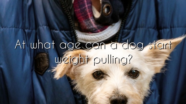 At what age can a dog start weight pulling?