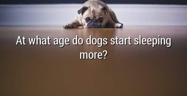At what age do dogs start sleeping more?