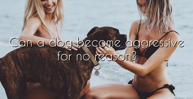 Can a dog become aggressive for no reason?