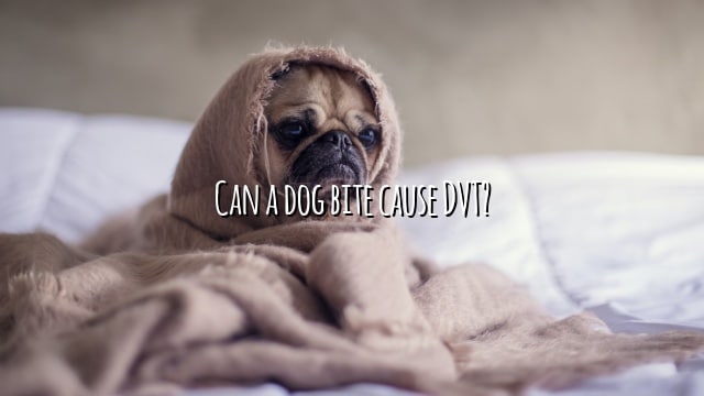 Can a dog bite cause DVT?