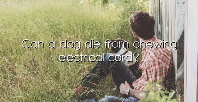 Can a dog die from chewing electrical cord?