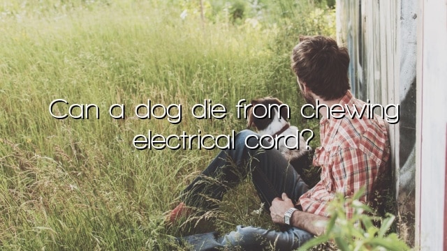 Can a dog die from chewing electrical cord?