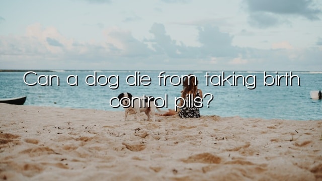 Can a dog die from taking birth control pills?