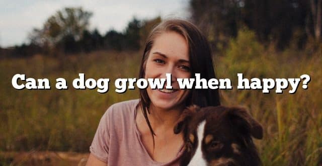 Can a dog growl when happy?