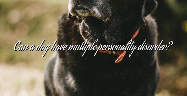 Can a dog have multiple personality disorder?