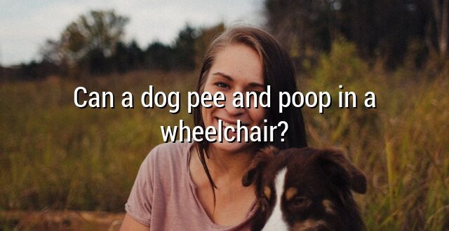 Can a dog pee and poop in a wheelchair?