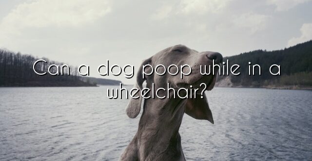 Can a dog poop while in a wheelchair?
