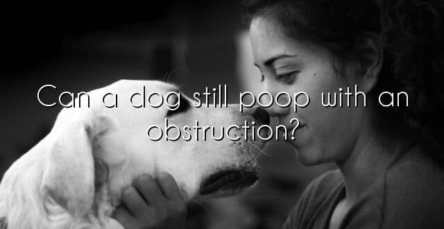 Can a dog still poop with an obstruction?