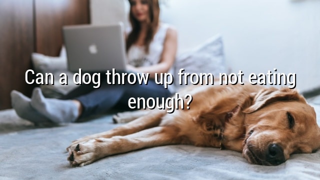 Can a dog throw up from not eating enough?