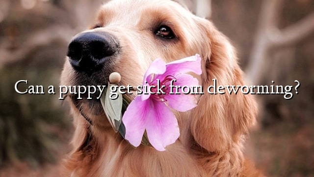 Can a puppy get sick from deworming?