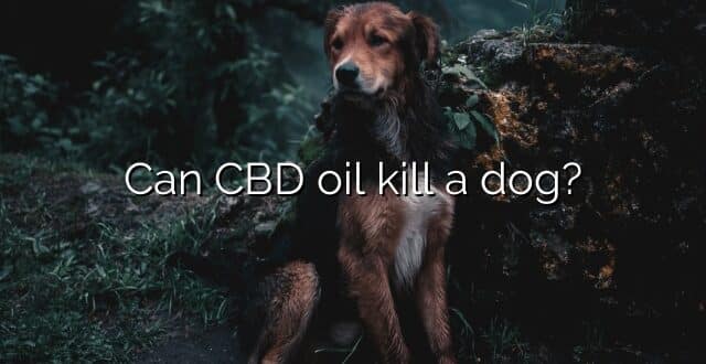 Can CBD oil kill a dog?