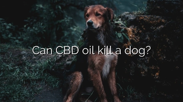 Can CBD oil kill a dog?