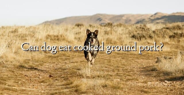 Can dog eat cooked ground pork?
